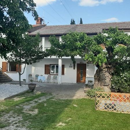 Гостевой дом Country House Gazon Smarje  Экстерьер фото