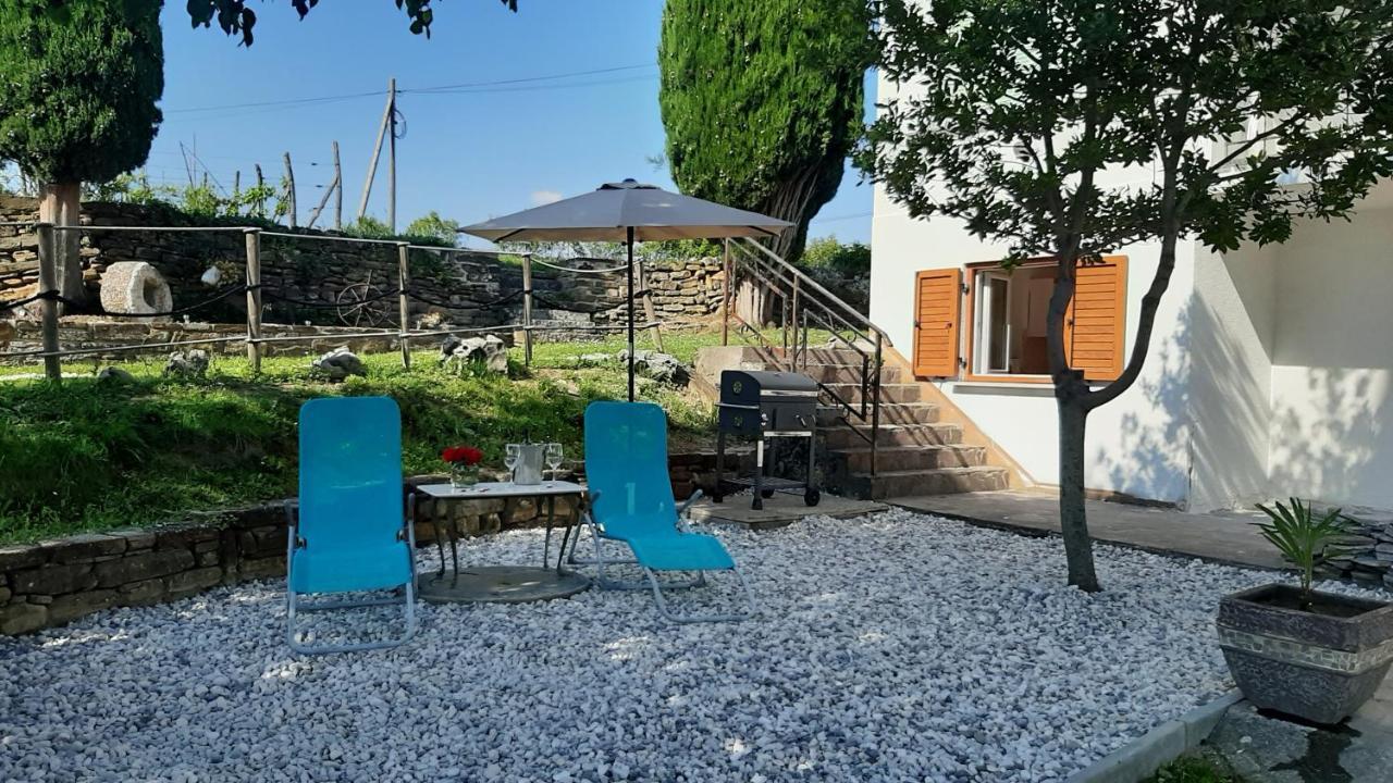 Гостевой дом Country House Gazon Smarje  Экстерьер фото